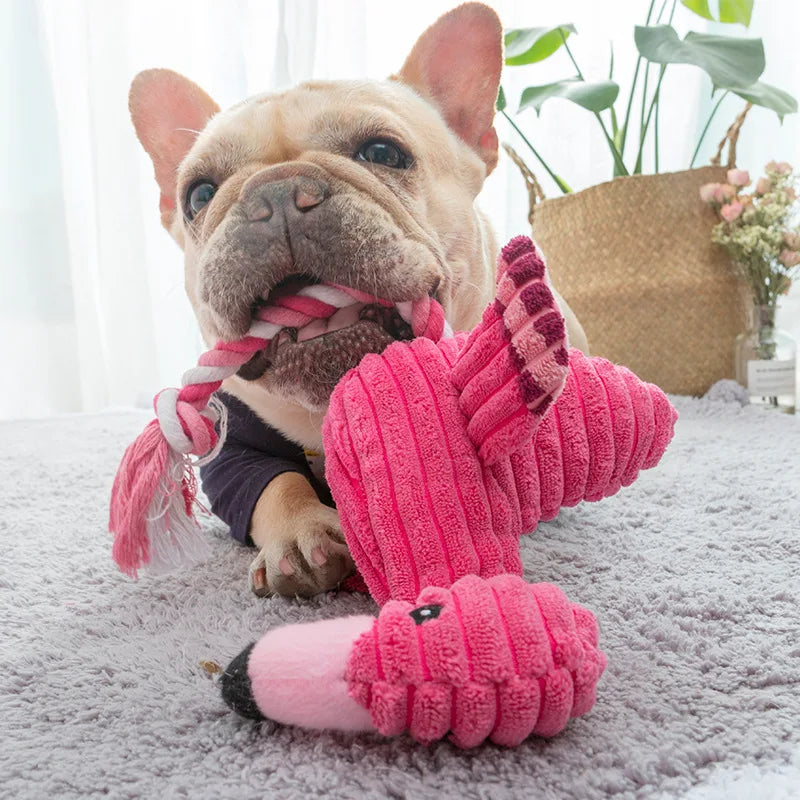 Flamingo Squeak & Chew Buddy