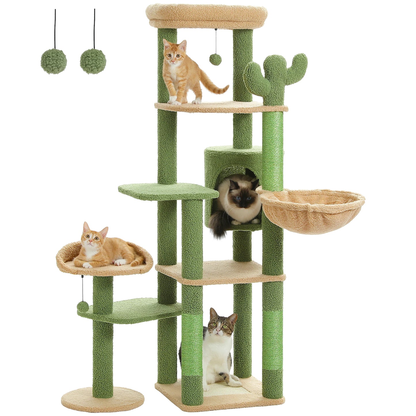 Multi-Level Cactus Cat Tree