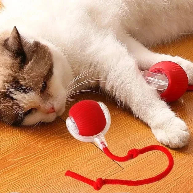 Interactive Electric Cat Toy Ball