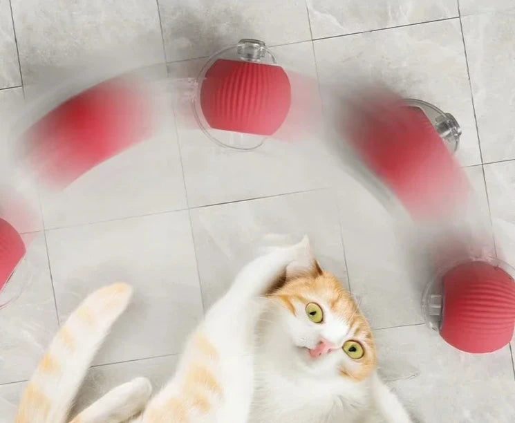 Interactive Electric Cat Toy Ball