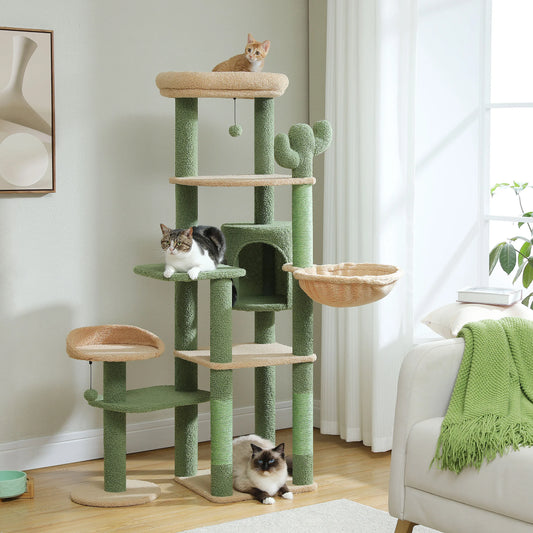 Multi-Level Cactus Cat Tree