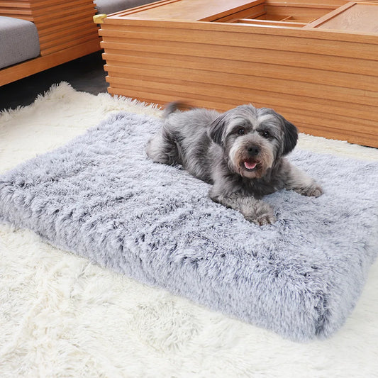 Orthopedic Memory Foam Pet Bed