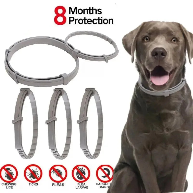 Dog & Cat Anti-Flea and Tick Collar